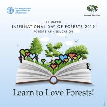 Międzynarodowy Dzień Lasów